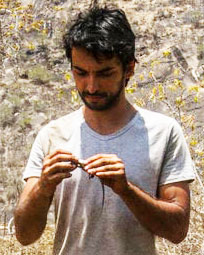 Francesco Belluardo